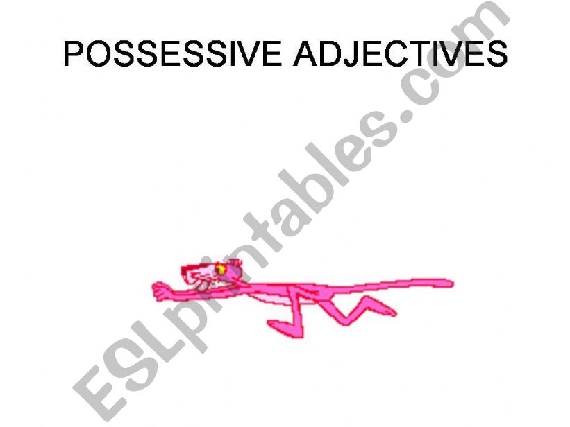 Possessive Adjectives powerpoint