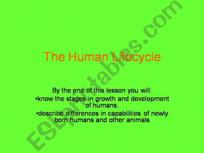 The Human Lifecycle powerpoint