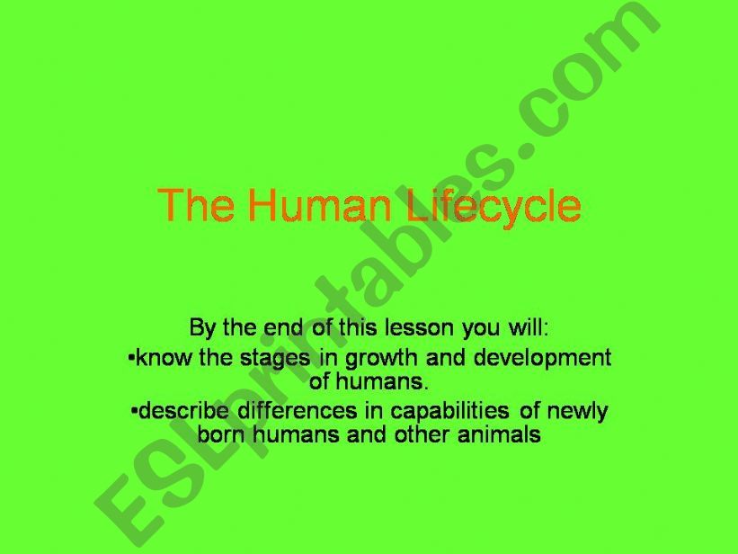 The Human Lifecycle powerpoint