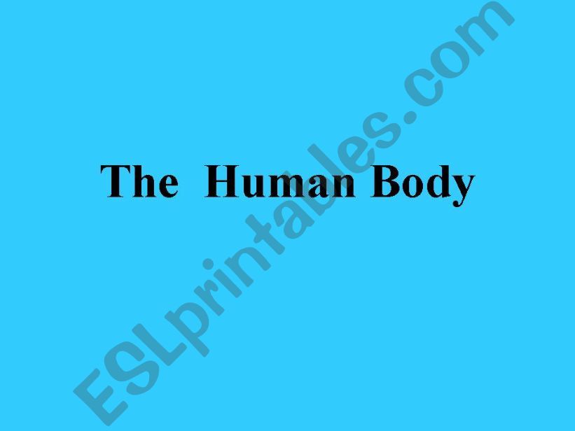 Human Body powerpoint