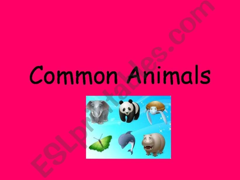 Animals powerpoint