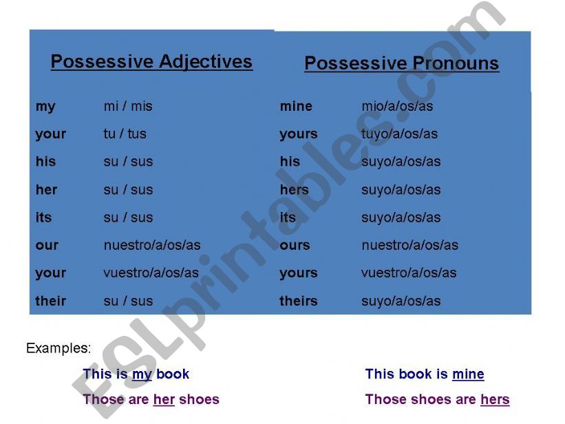 Demonstrative pronouns and possesive pronouns  part 2