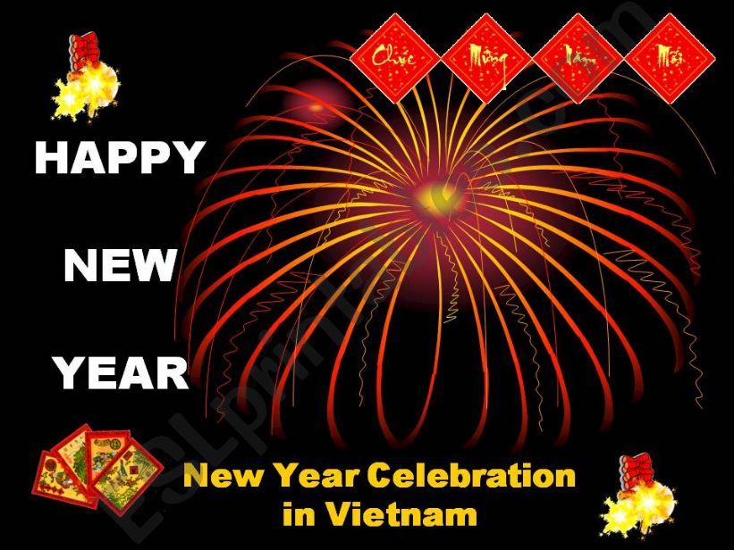 NEW YEAR CELEBRATION  in VIET NAM ( 1/3 )