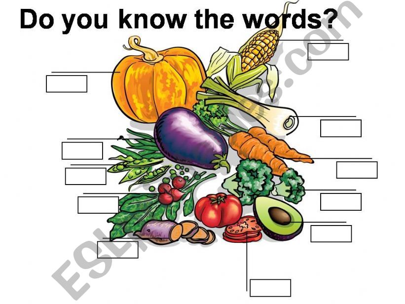 Vegetables  powerpoint