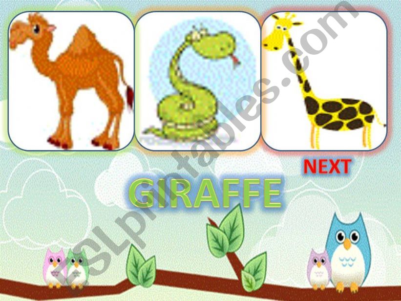 Animal game- 7 powerpoint