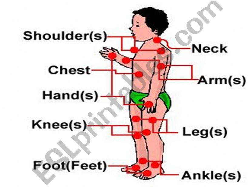 body powerpoint