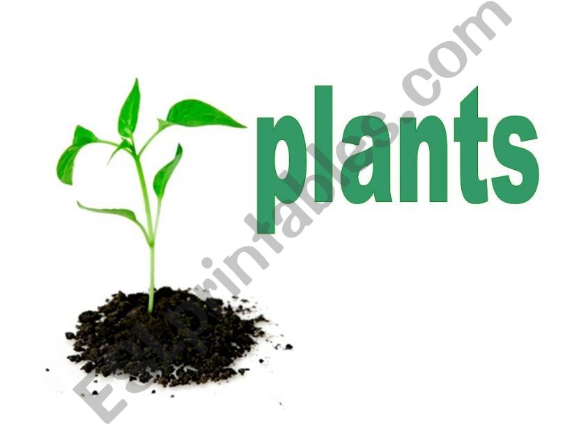 plantss powerpoint