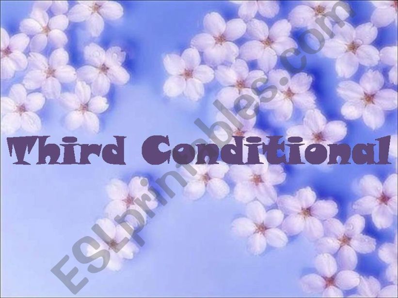 third conditional powerpoint