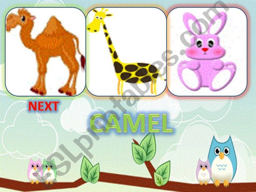 Animal game- 15 powerpoint