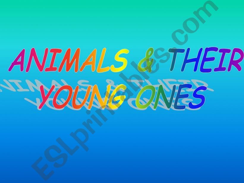 Young animals powerpoint