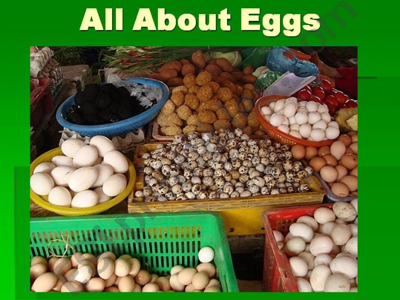 Eggs and Egg vocabulary powerpoint