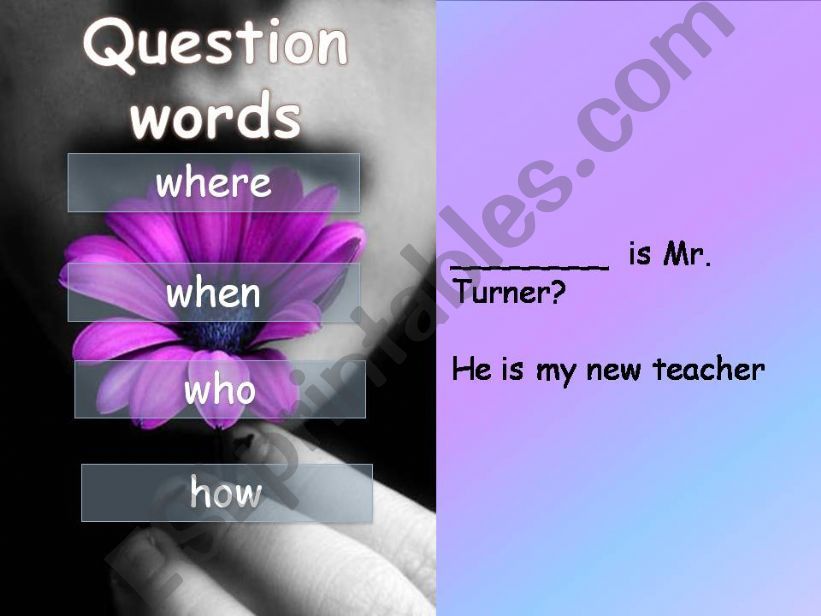 question words powerpoint