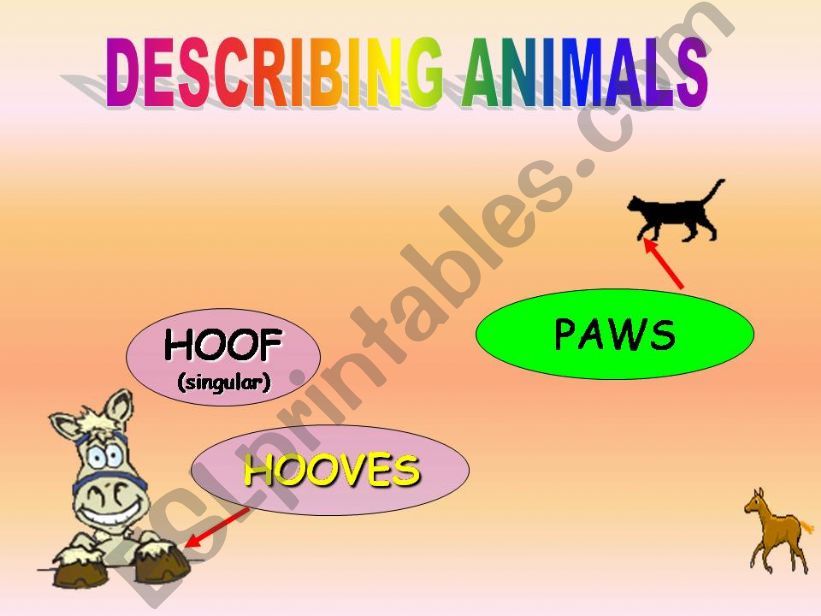 Animals body part powerpoint