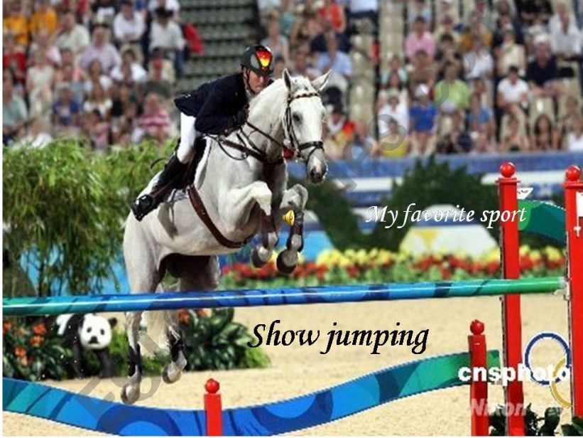 Show jumping powerpoint