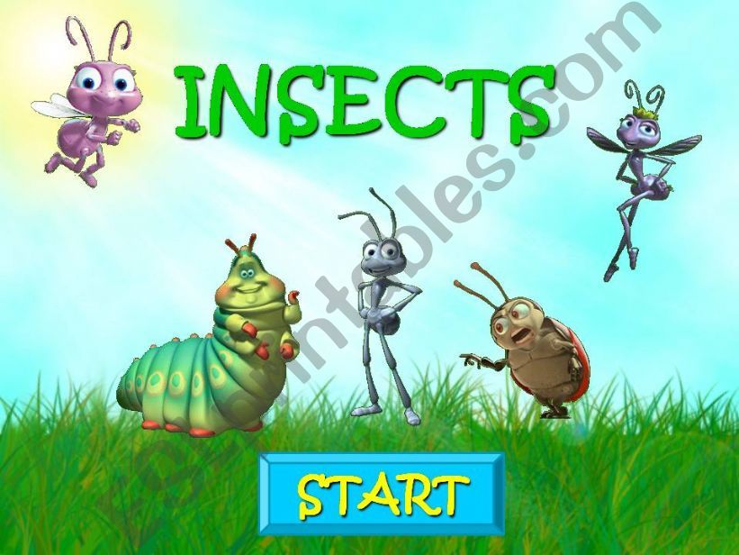 INSECTS GAME powerpoint