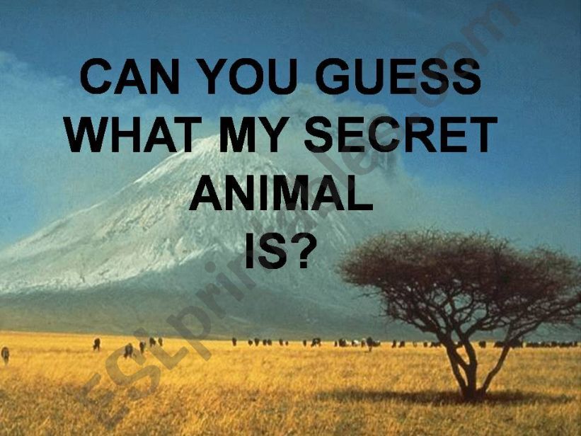 My secret animal- lion powerpoint