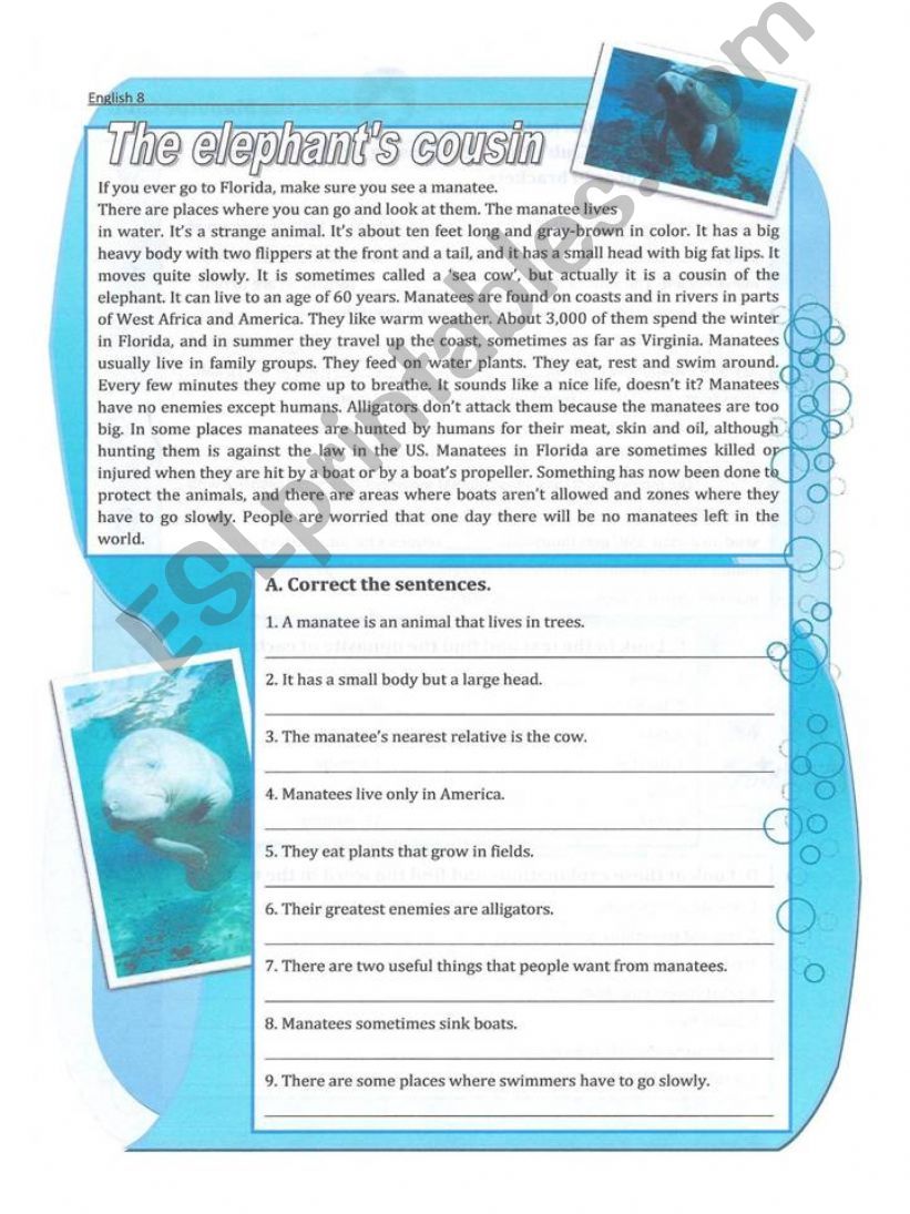 esl-english-powerpoints-reading-exercises-about-manatees