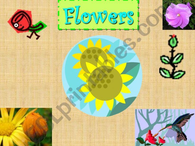 ESL English PowerPoints Flowers