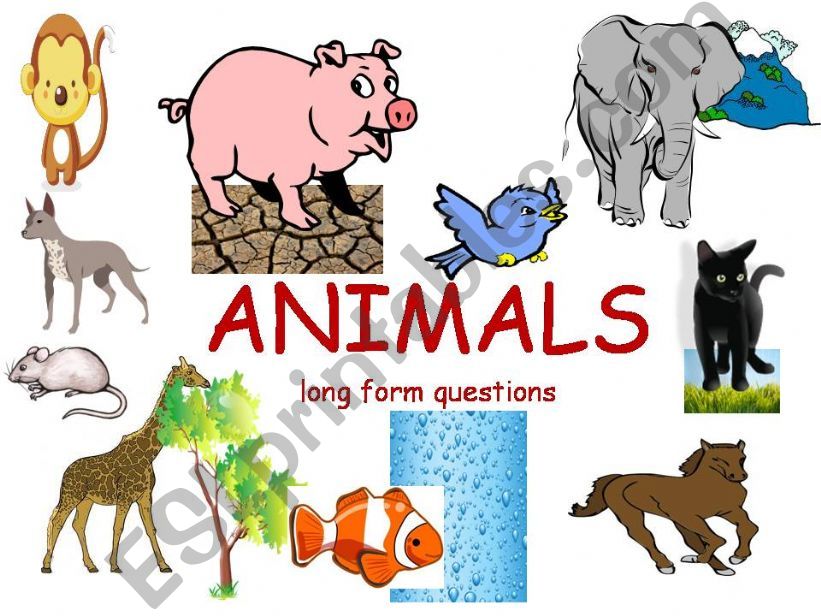 Part 10: ANIMALS: CONTROLLED PRACTICE: LONG FORM