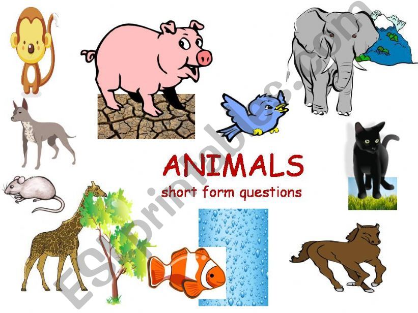 Part 11: ANIMALS : CONTROLLED PRACTICE: SHORT FORM