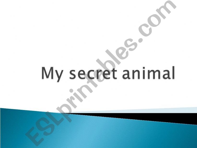 My secret animal- spider powerpoint