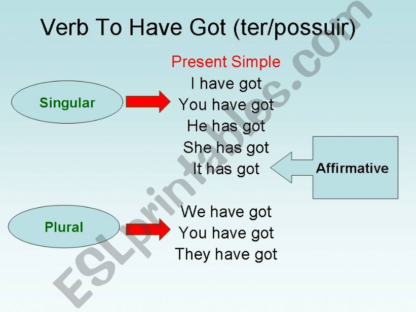 Verb To HAve Got powerpoint