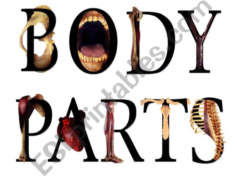 Body parts powerpoint