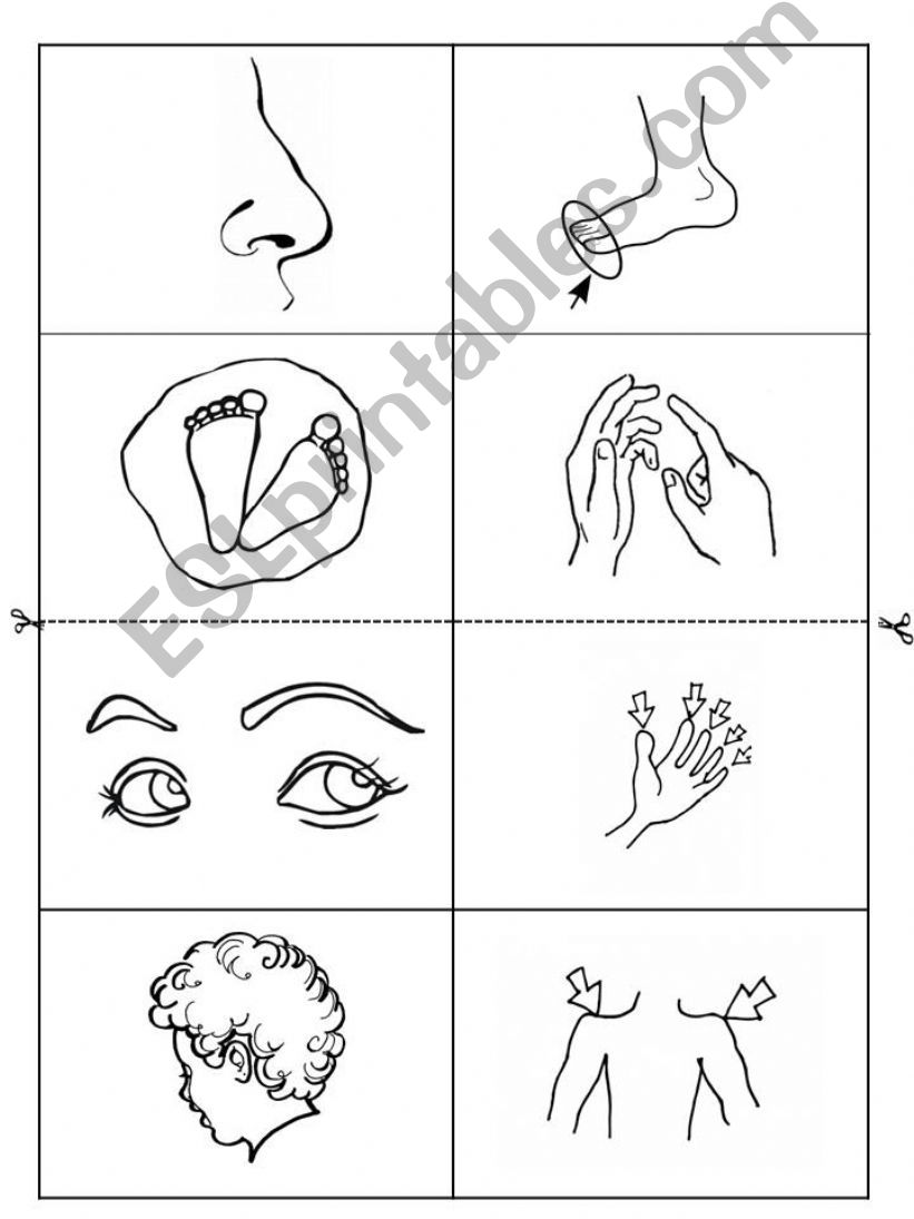 BODY PARTS BINGO powerpoint