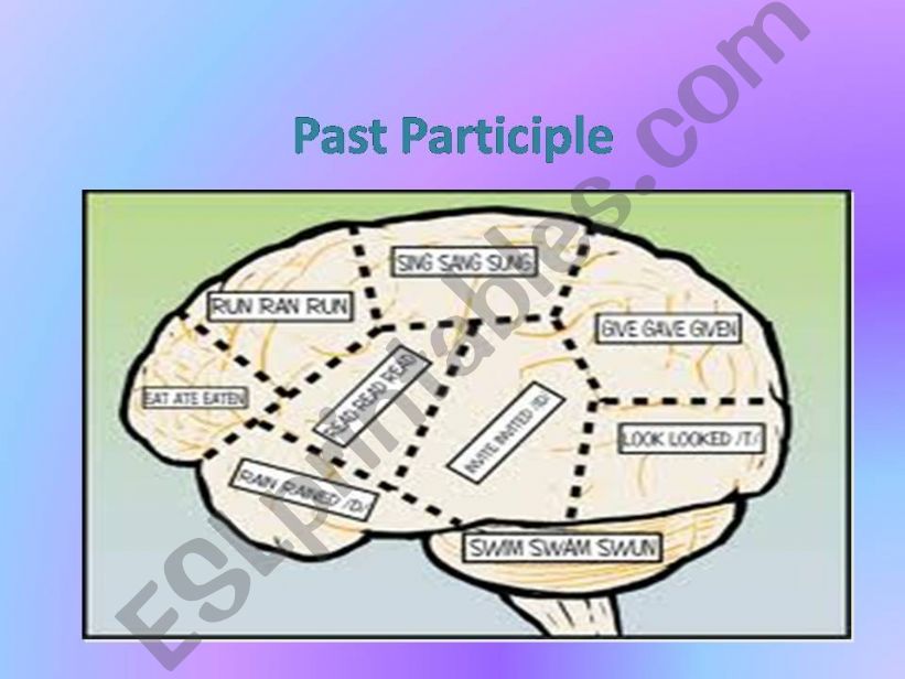 Past Participle powerpoint