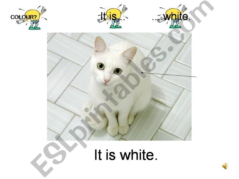 partie du corps animal powerpoint