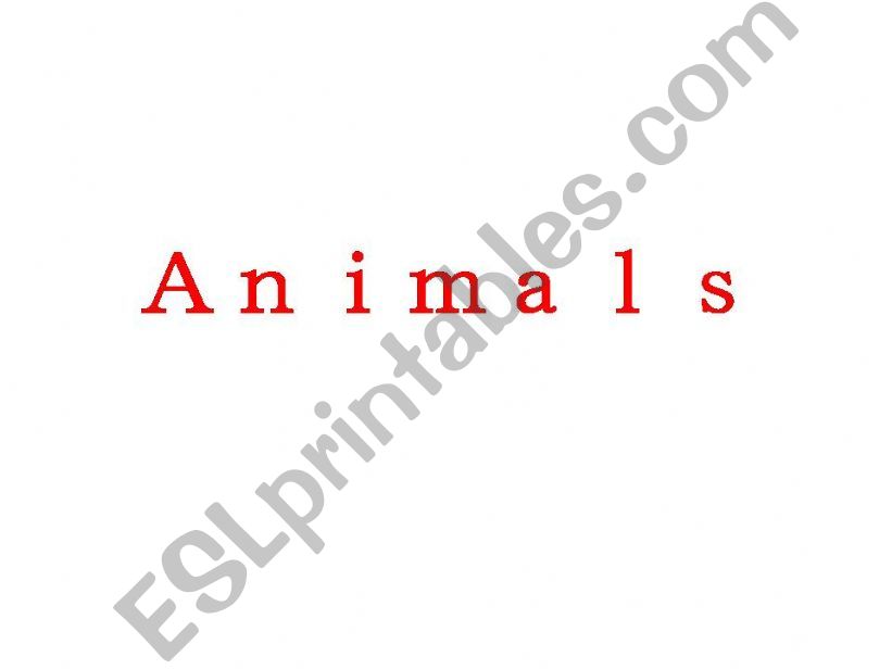 Animals powerpoint