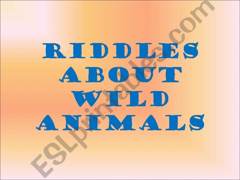 Riddles about wild animals 1 powerpoint