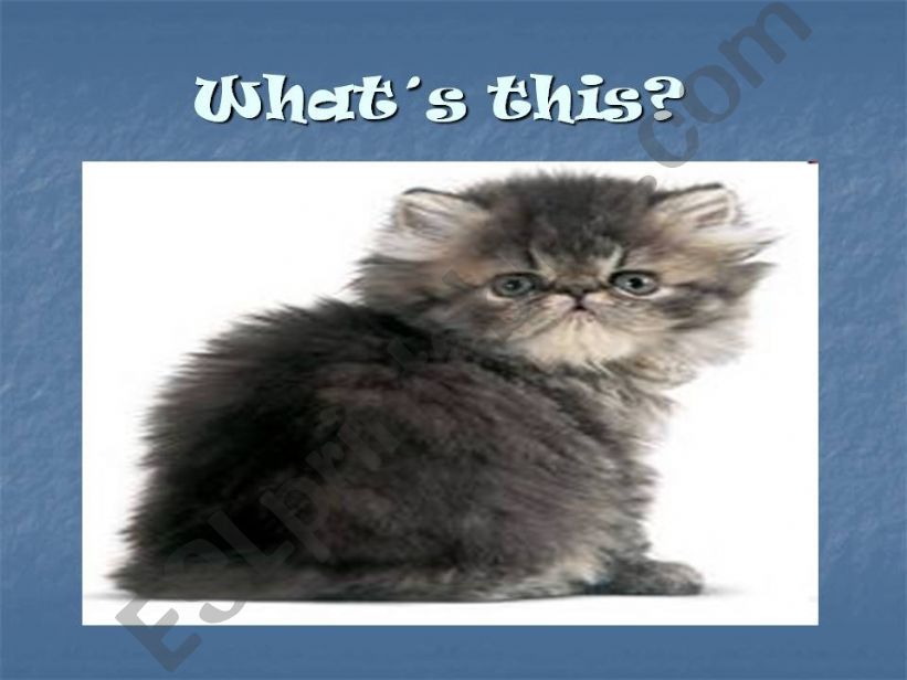 THIS/THESE/THAT/THOSE powerpoint