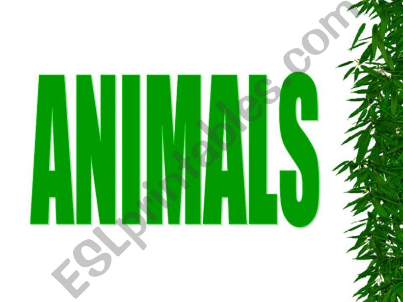 Animals-Names powerpoint