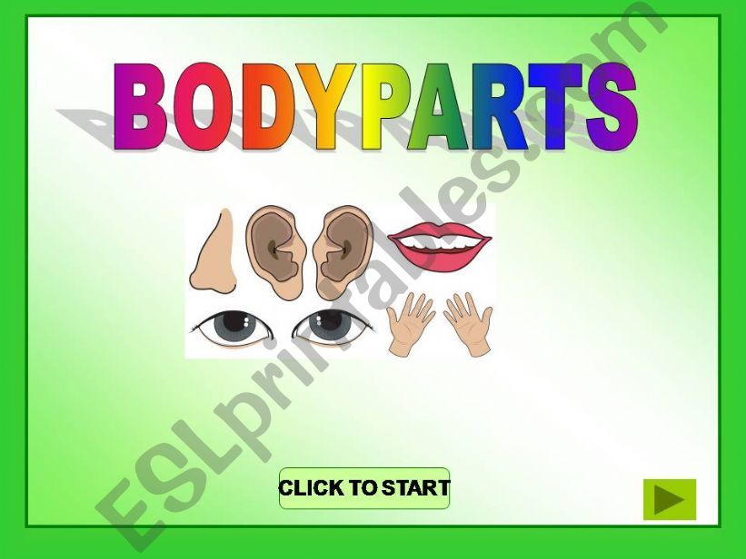 Bodyparts game powerpoint