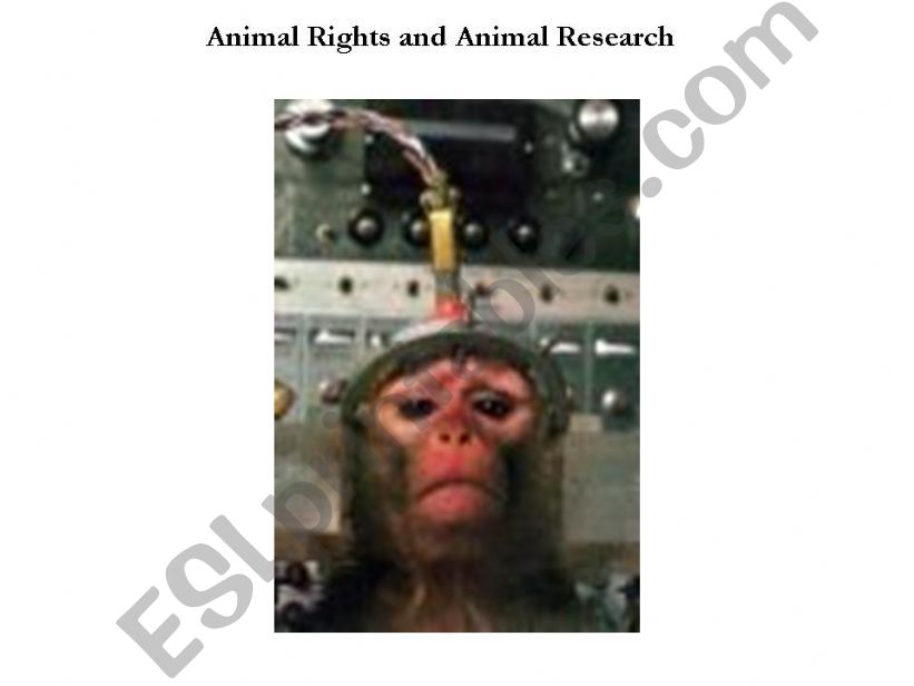 Animal Rights & Research powerpoint