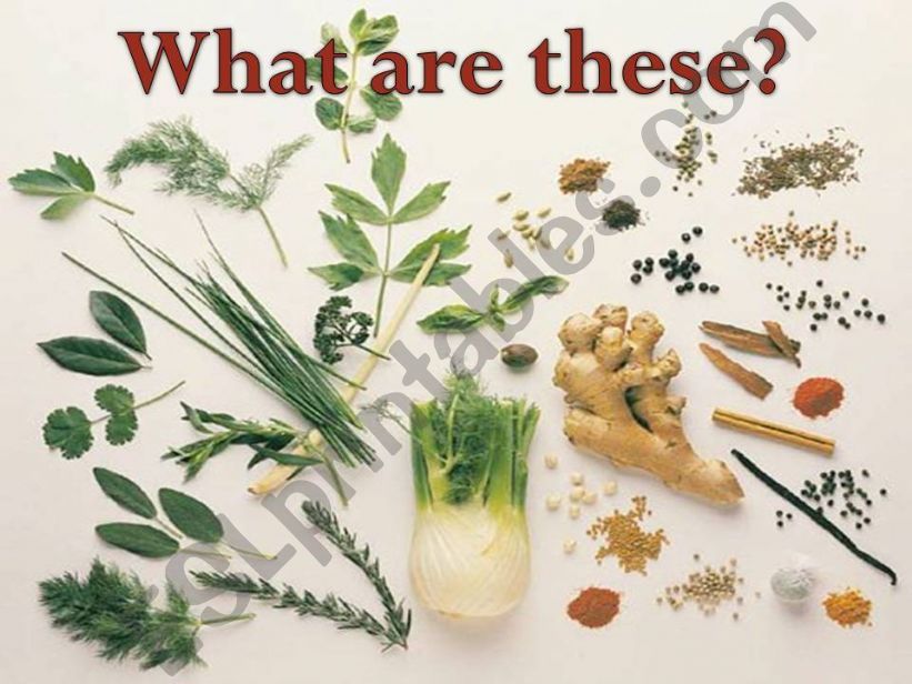 Fresh & dried herbs powerpoint