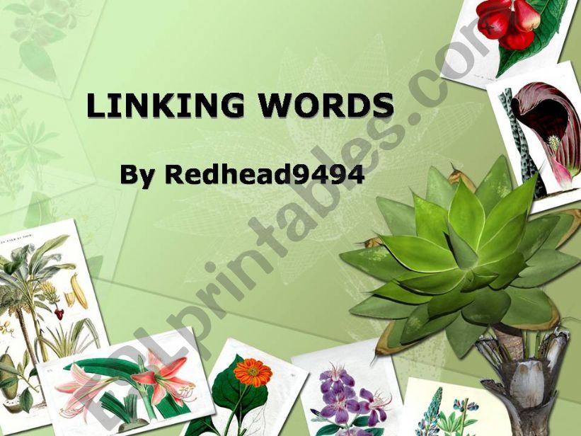 Linking Words powerpoint