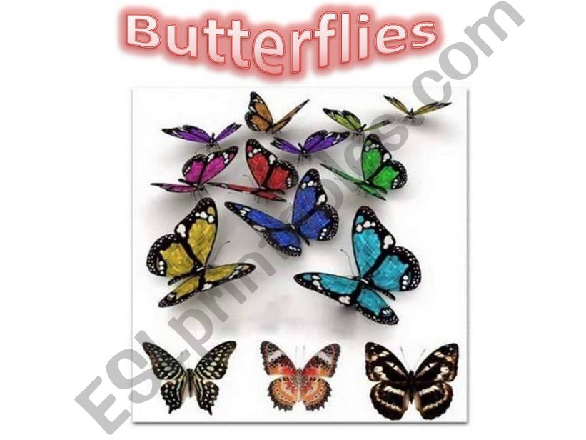 Bye bye butterflies powerpoint