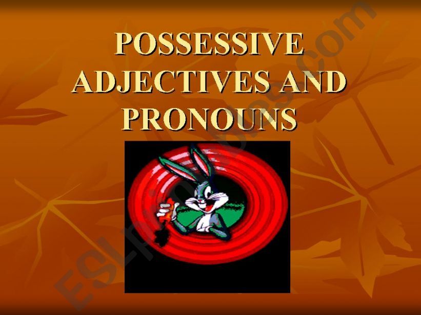 Possessive pronouns powerpoint
