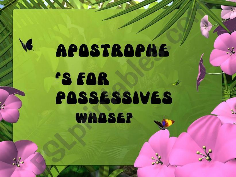 Apostrophe Possessive s - Whose? with animations