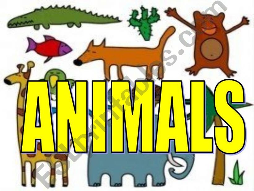 Animals powerpoint