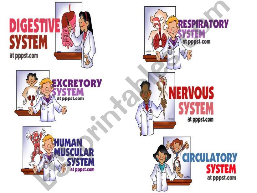 Body Systems powerpoint