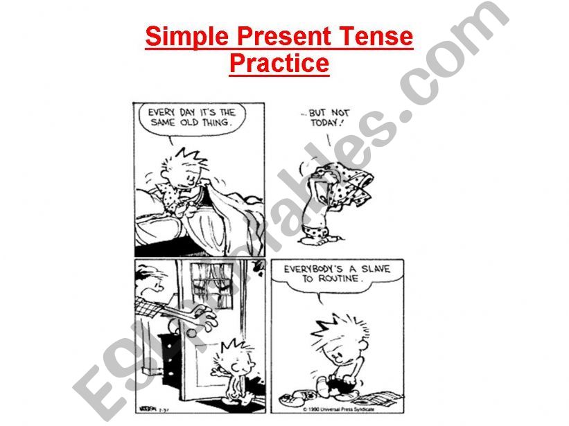 Simple Present Tense - Practice