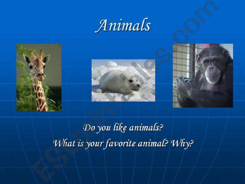 animals powerpoint