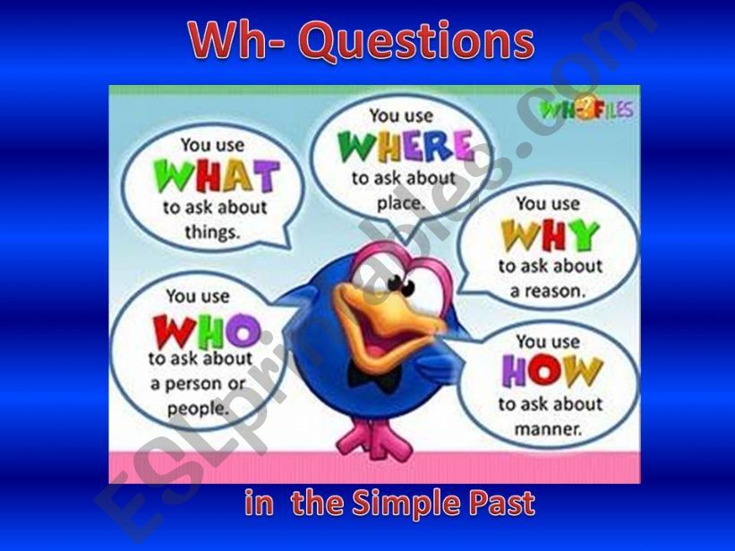 Wh- questions in the Simple Past