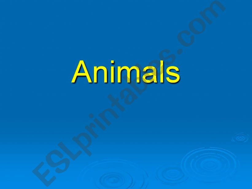 Animals powerpoint