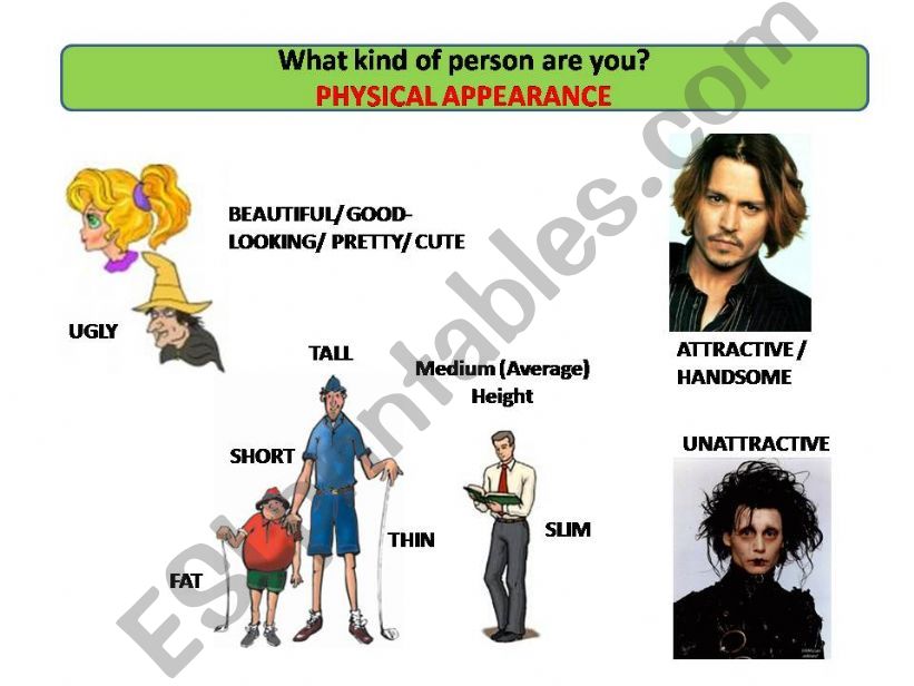 What Kind of Person Are You? powerpoint