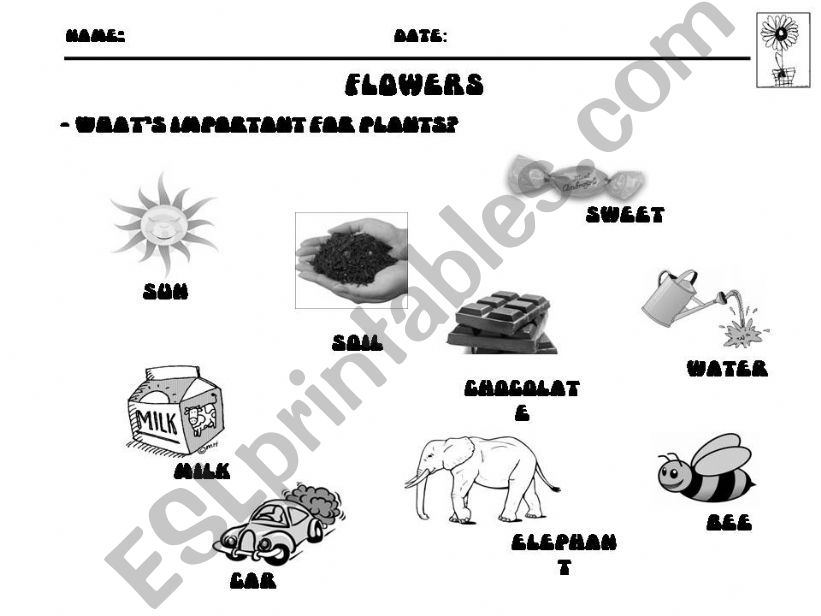 what´s important for plants? powerpoint
