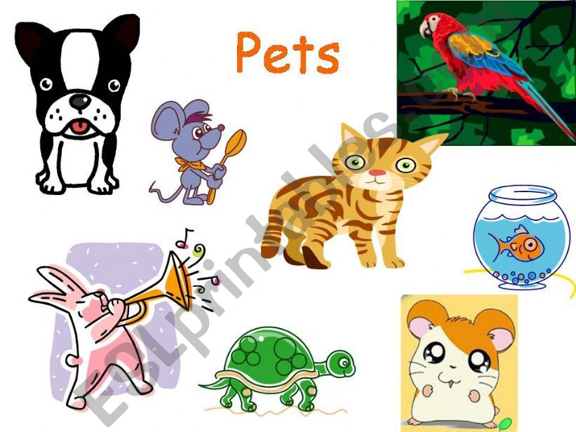 pets powerpoint